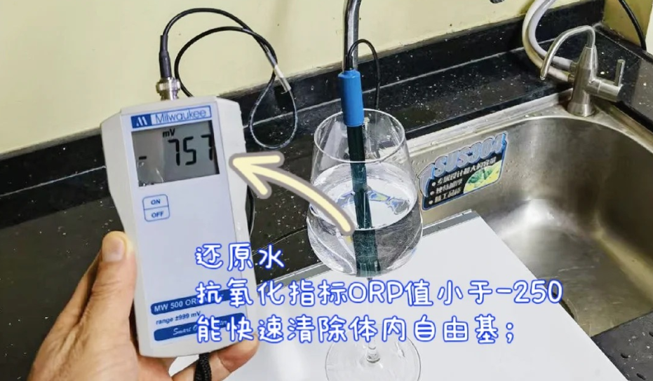 抗氧化指标ORP值小于-250 抗氧化指标ORP值小于-250